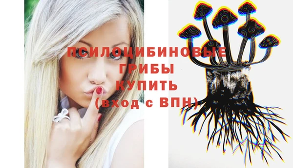 ешки Абдулино