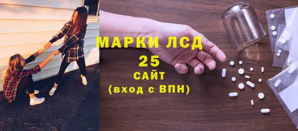 прущие грибы Абинск