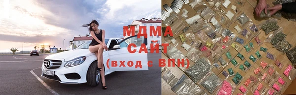 прущие грибы Абинск
