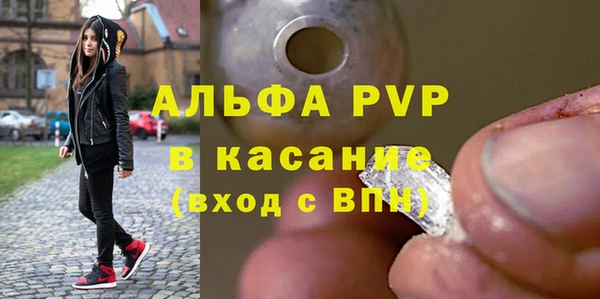 прущие грибы Абинск