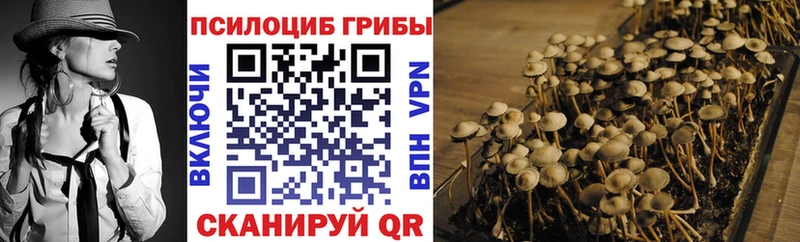 Псилоцибиновые грибы Cubensis  нарко площадка клад  Тихорецк 